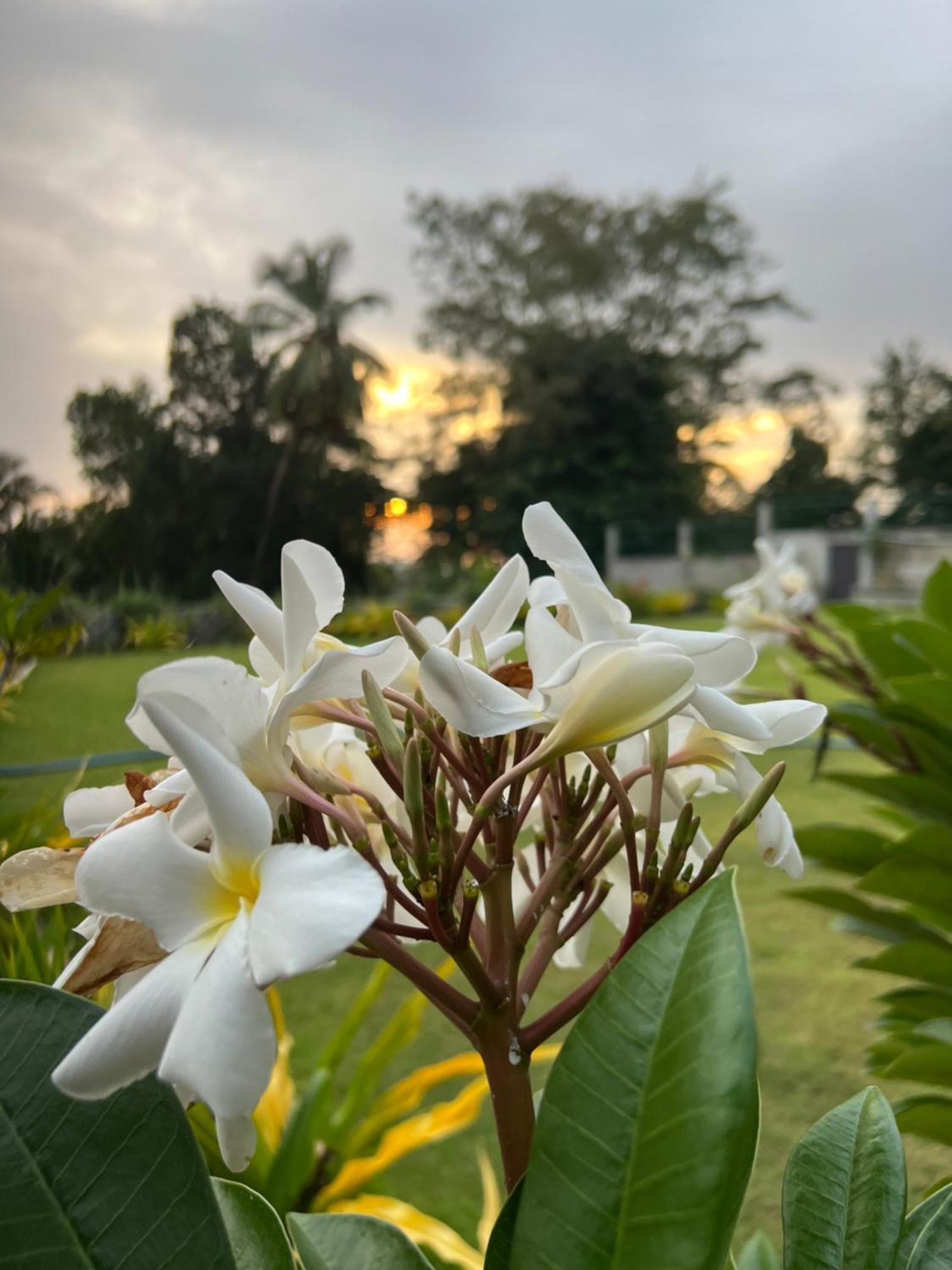 Kapaliya Unawatuna Bagian luar foto